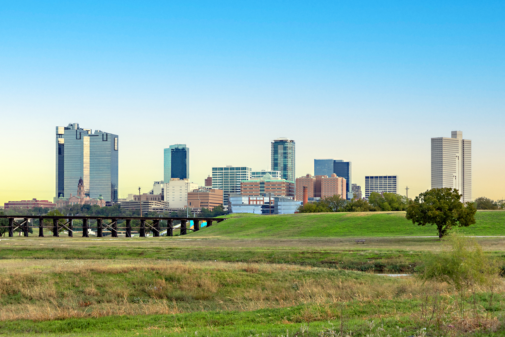 Artificial grass services in Frisco, TX