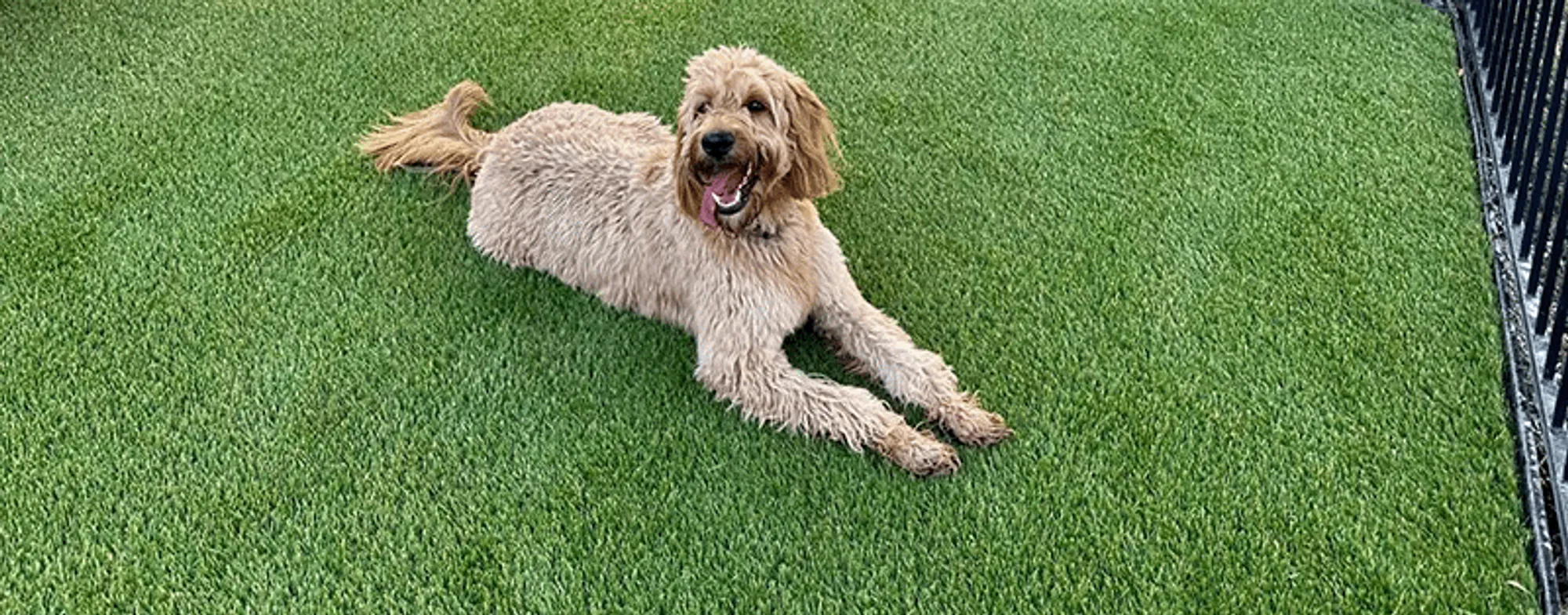 Artificial Turf Drainage Solutions