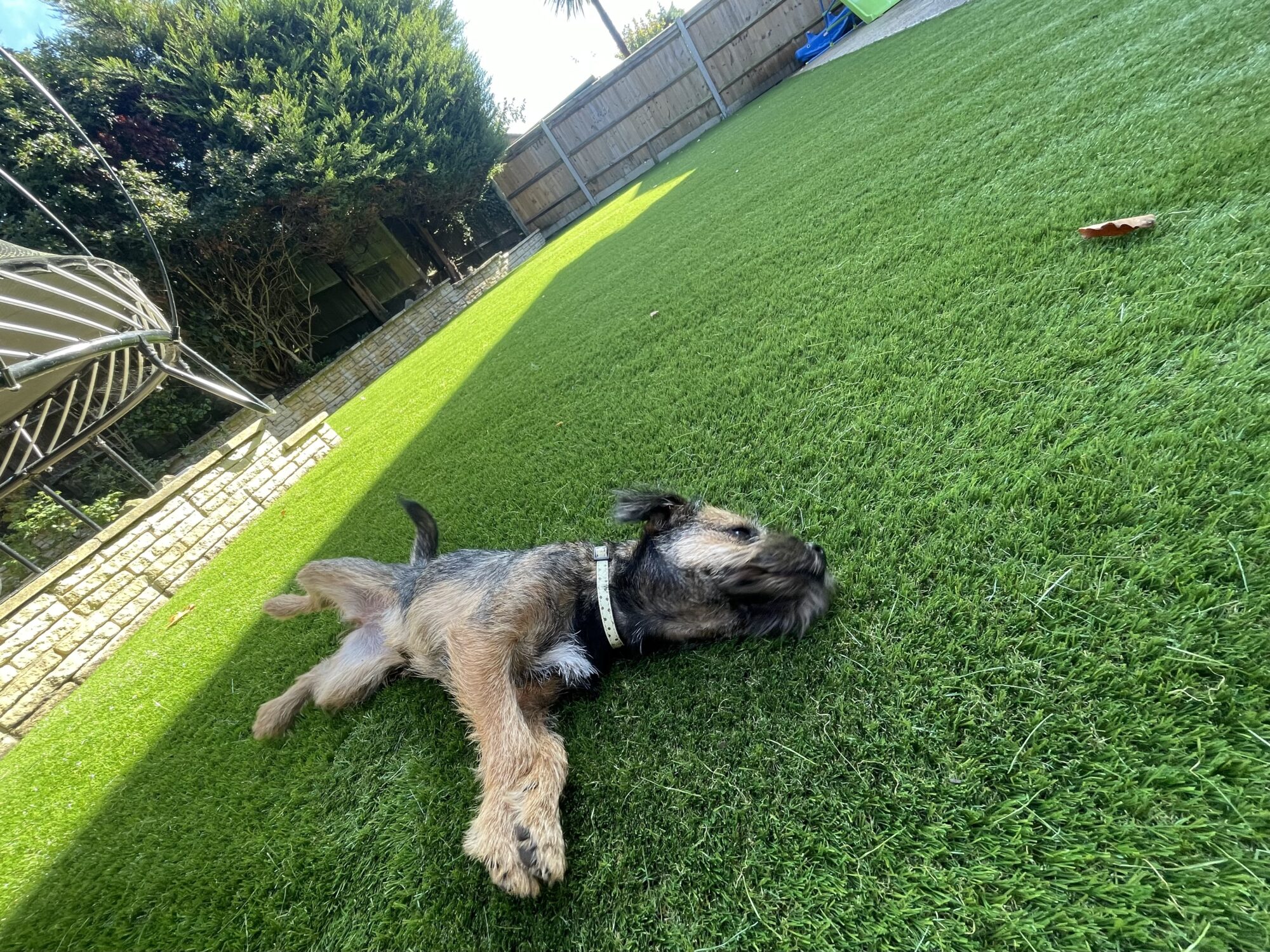 Artificial Turf For Pets